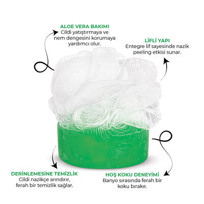 SPONGY - ALOE VERA (1)