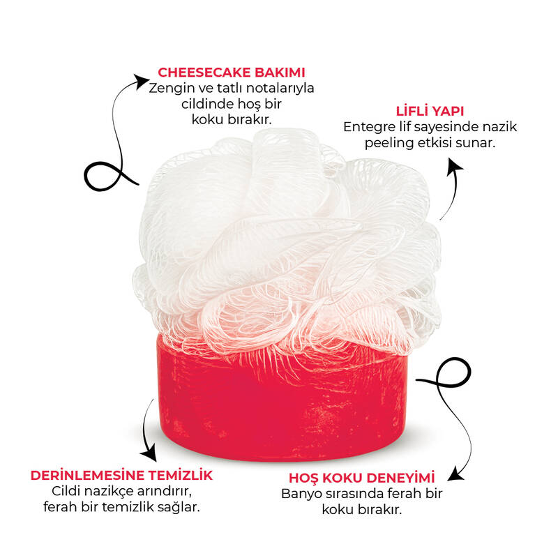 SPONGY - CHEESCAKE - 2