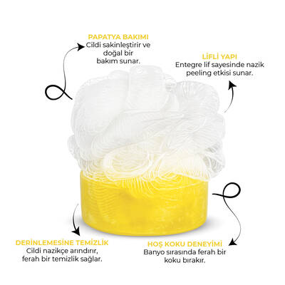 SPONGY - DAISY (1)